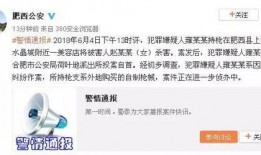 近期热门事件爆料视频,视频爆料背后的真相与争议