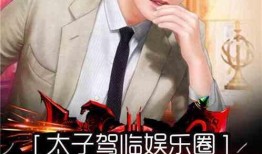 娱乐圈爆料小说2019,揭秘年度爆红事件与幕后真相